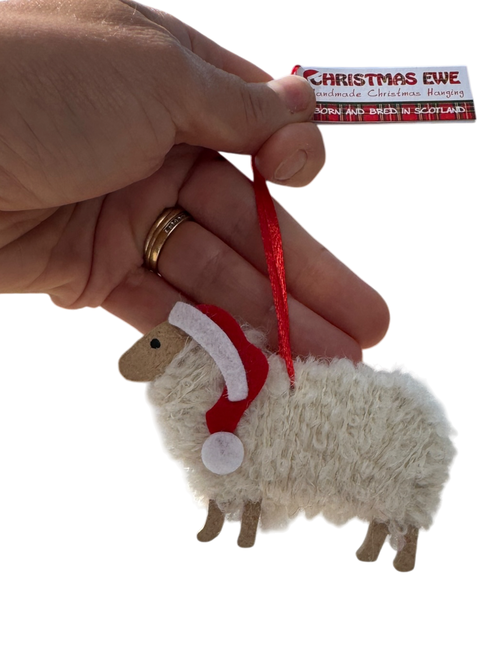 Christmas Tree Hangings