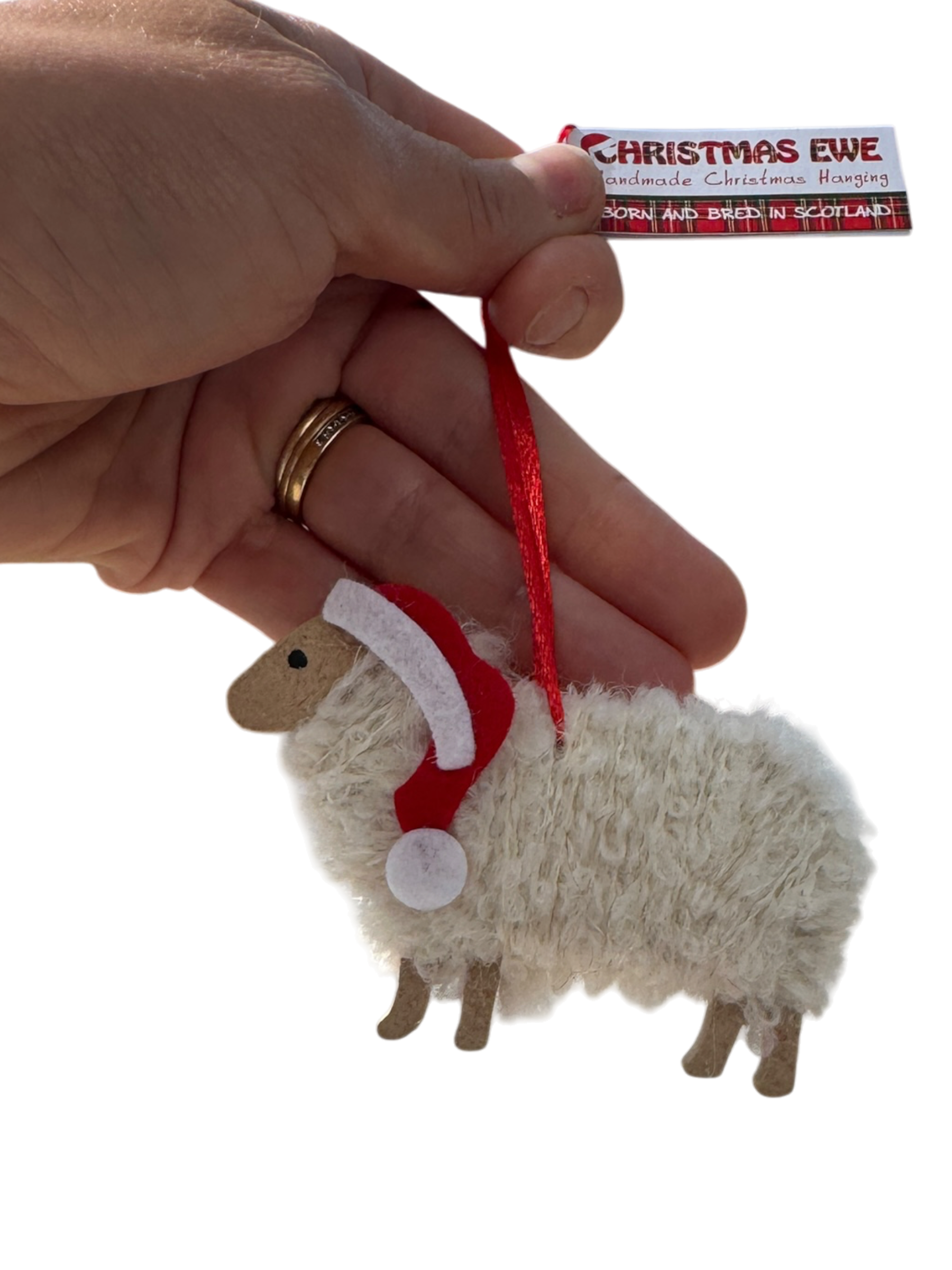 Christmas Tree Hangings