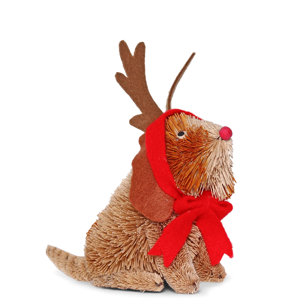 Dress up Dog Bristle Hanging