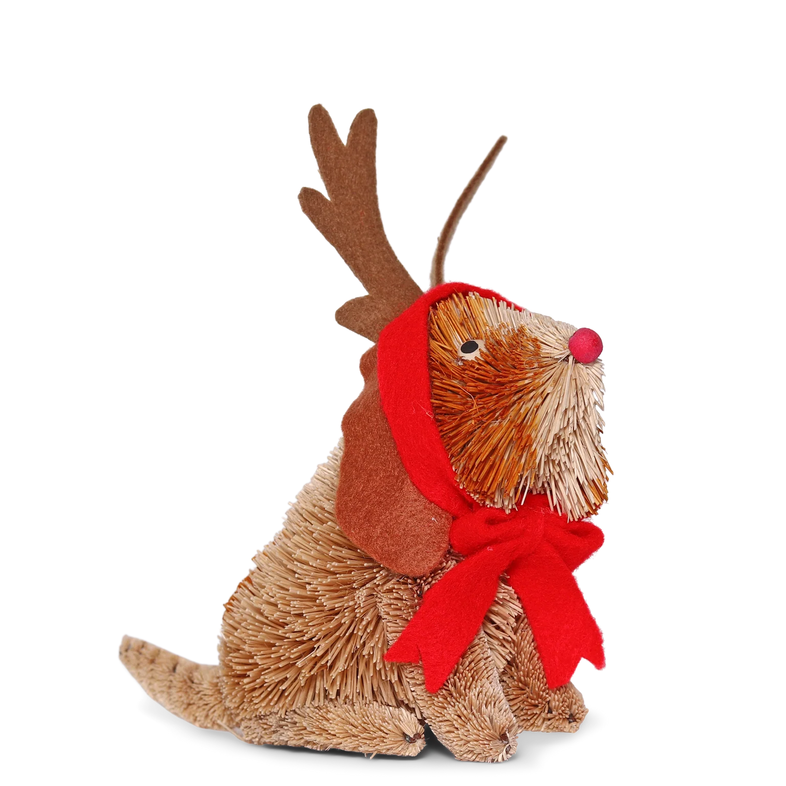 Dress up Dog Bristle Hanging