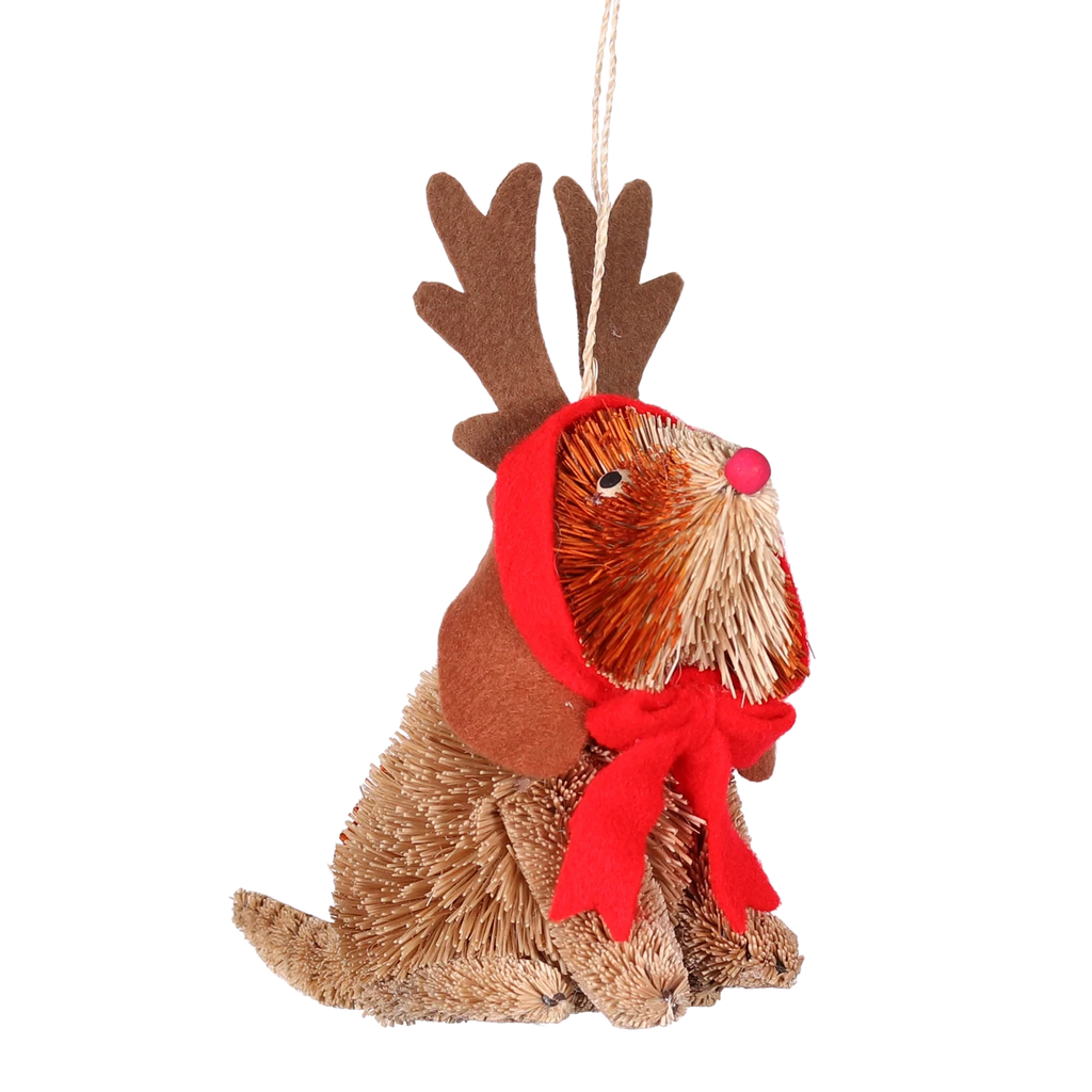 Dress up Dog Bristle Hanging