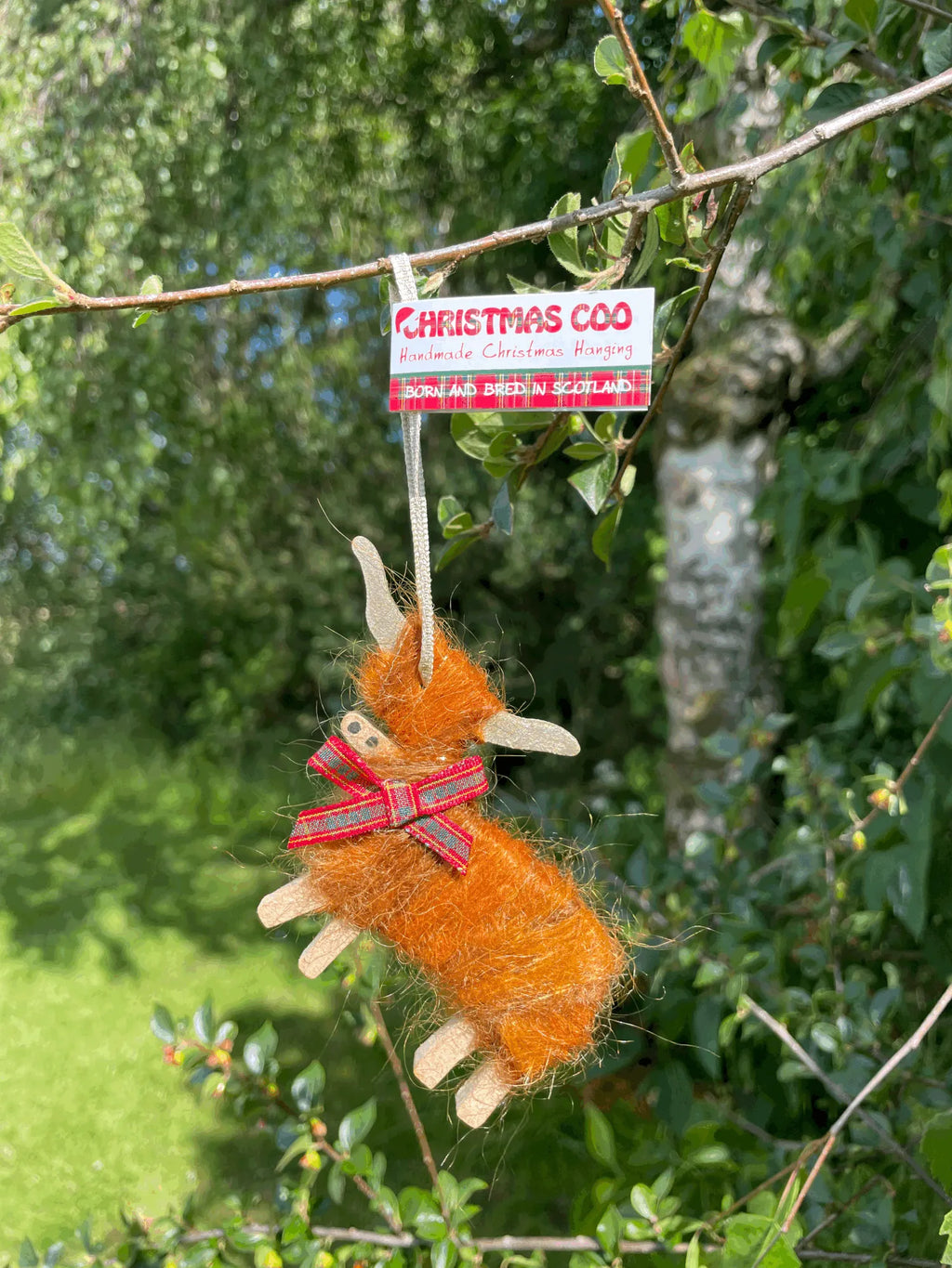 Christmas Tree Hangings