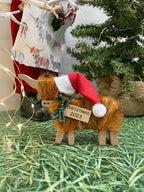 Personalised Christmas COOS